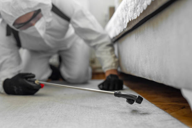 Professional Mosquito Control technician working in Old Forge, PA
