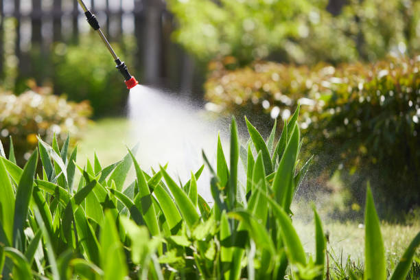 24/7 Emergency Mosquito Control experts in Old Forge, PA